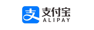 伙伴六